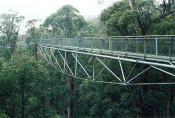 Tree Top Walk Motel Walpole Exterior photo